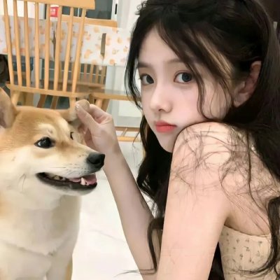 老狐狸